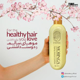 شامپو موی سر حاوی روغن مورینگا ،exonic با حجم ۳۰۰ میل مخصوص موی آسیب دیده(قسطی تعداد فقط دو عدد)
